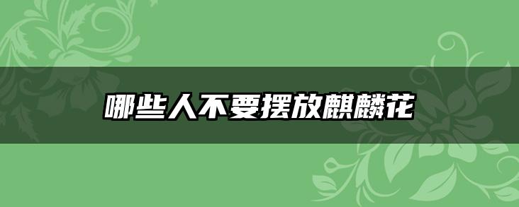哪些人不要摆放麒麟花