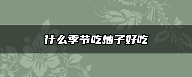 什么季节吃柚子好吃