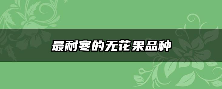 最耐寒的无花果品种