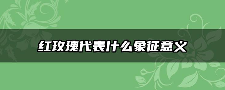 红玫瑰代表什么象征意义