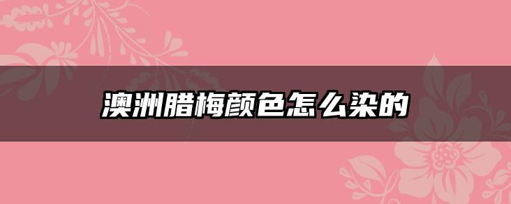 澳洲腊梅颜色怎么染的