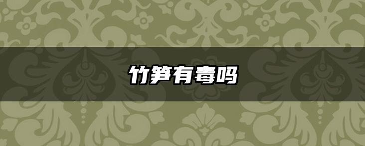 竹笋有毒吗