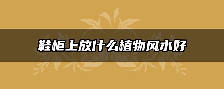 鞋柜上放什么植物风水好