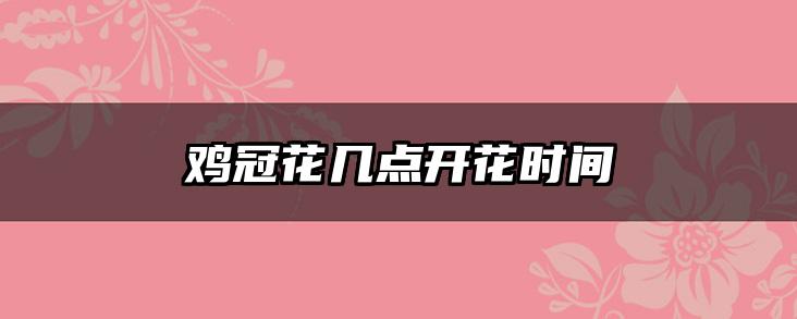 鸡冠花几点开花时间