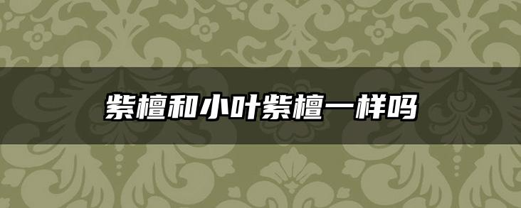 紫檀和小叶紫檀一样吗