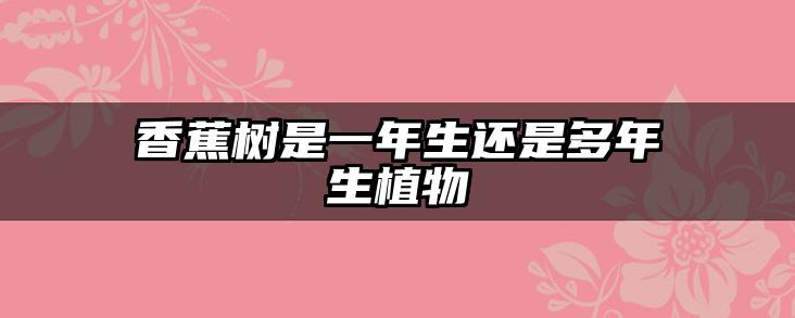 香蕉树是一年生还是多年生植物