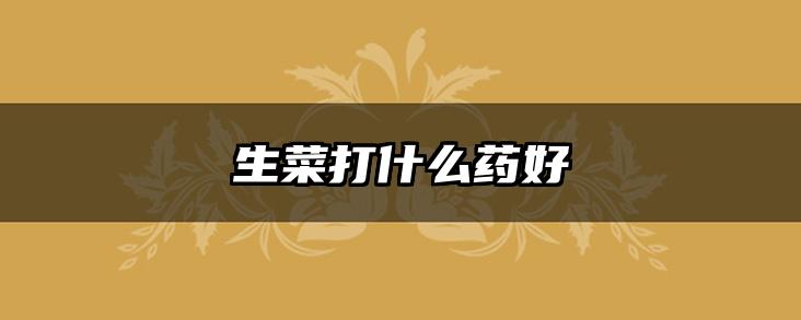 生菜打什么药好