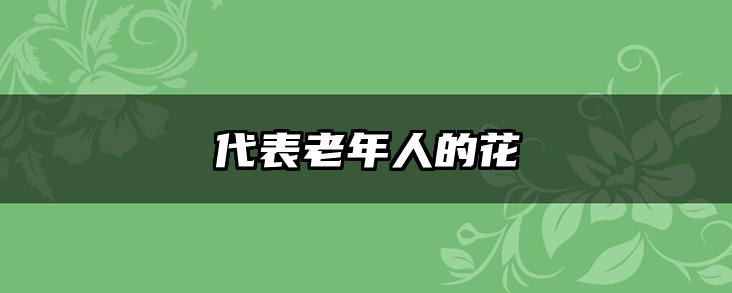 代表老年人的花