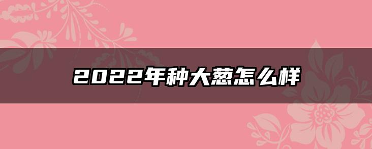 2022年种大葱怎么样