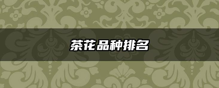 茶花品种排名