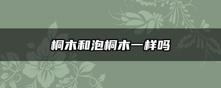 桐木和泡桐木一样吗