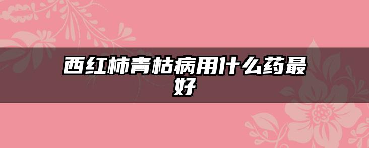 西红柿青枯病用什么药最好
