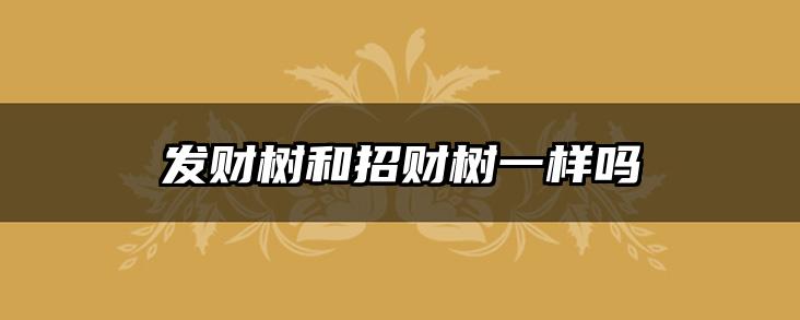发财树和招财树一样吗
