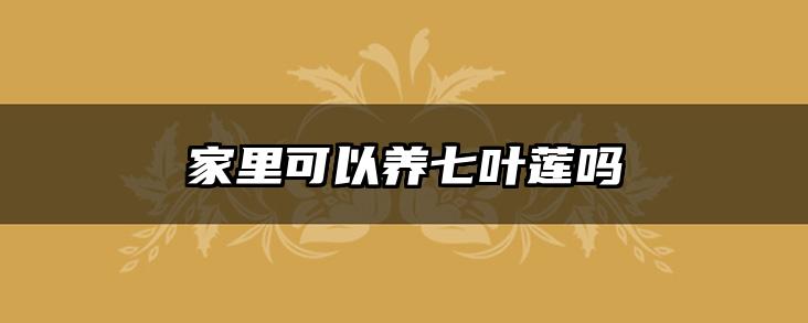 家里可以养七叶莲吗