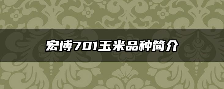 宏博701玉米品种简介