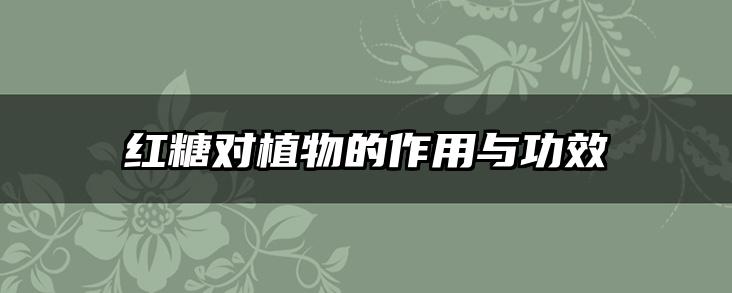 红糖对植物的作用与功效