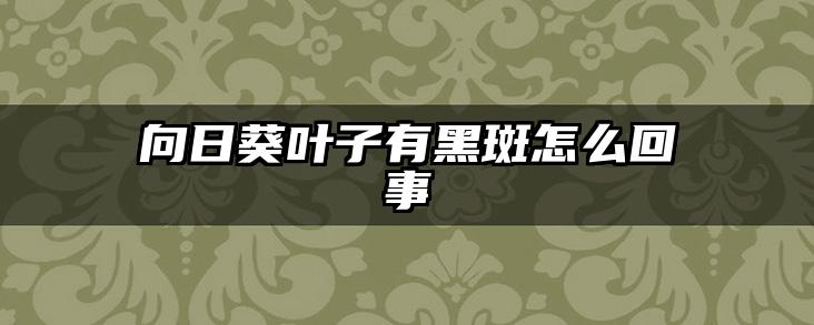 向日葵叶子有黑斑怎么回事