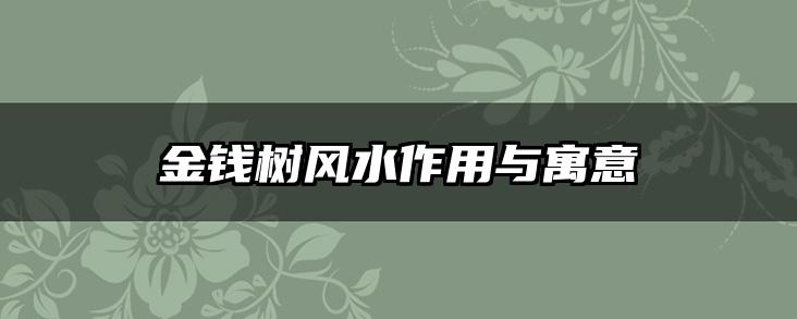 金钱树风水作用与寓意