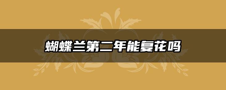 蝴蝶兰第二年能复花吗