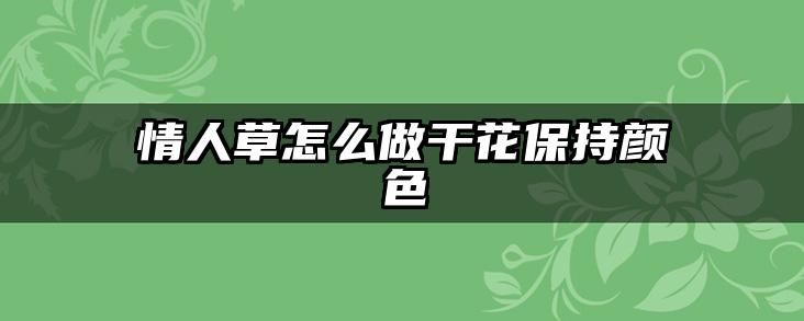 情人草怎么做干花保持颜色
