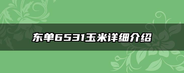东单6531玉米详细介绍
