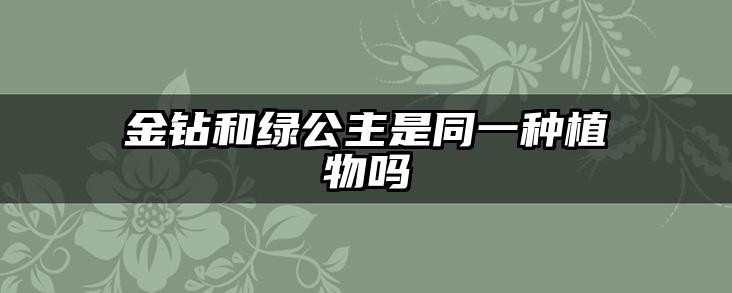 金钻和绿公主是同一种植物吗