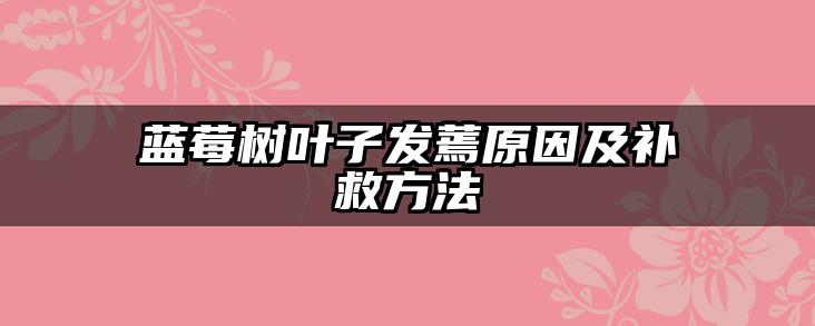 蓝莓树叶子发蔫原因及补救方法