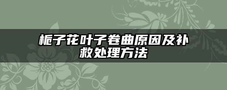 栀子花叶子卷曲原因及补救处理方法