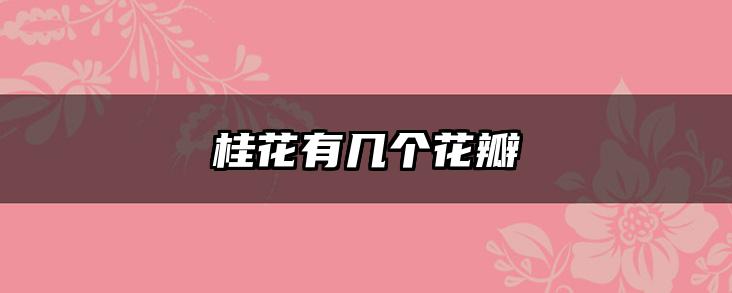 桂花有几个花瓣