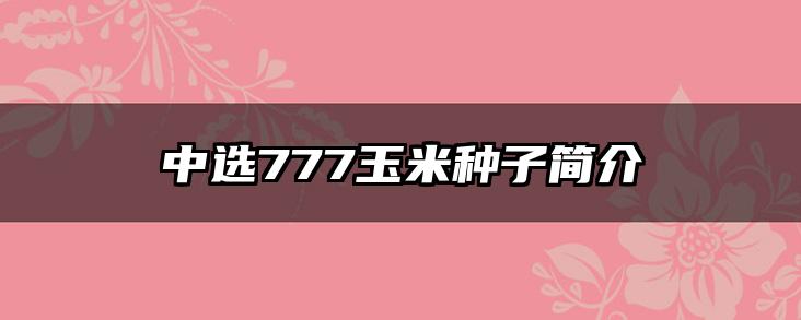 中选777玉米种子简介
