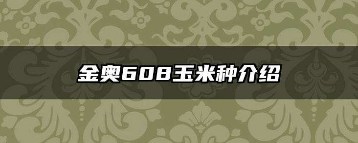 金奥608玉米种介绍