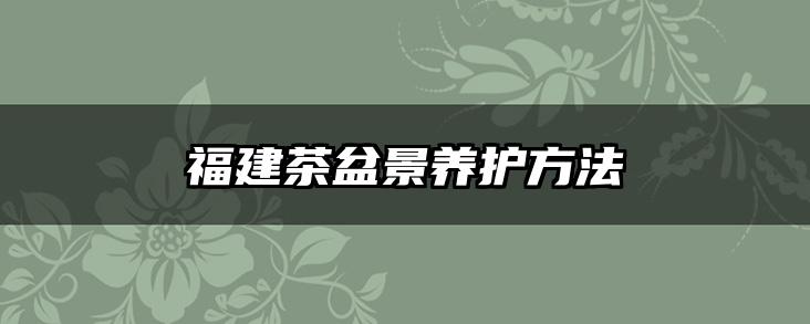 福建茶盆景养护方法