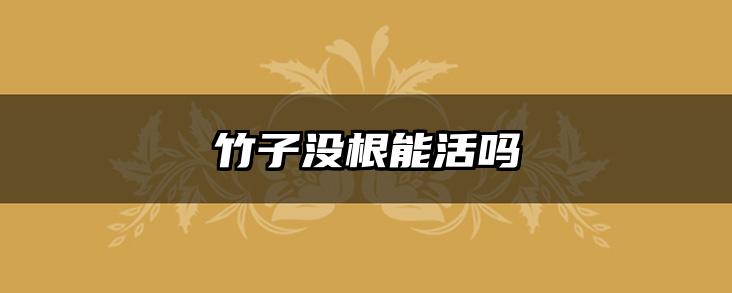 竹子没根能活吗