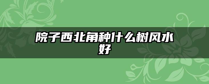 院子西北角种什么树风水好