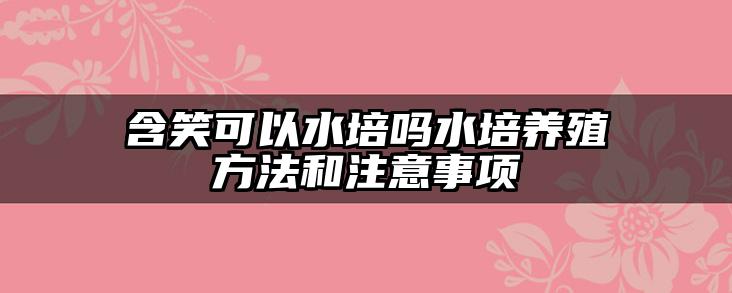 含笑可以水培吗水培养殖方法和注意事项