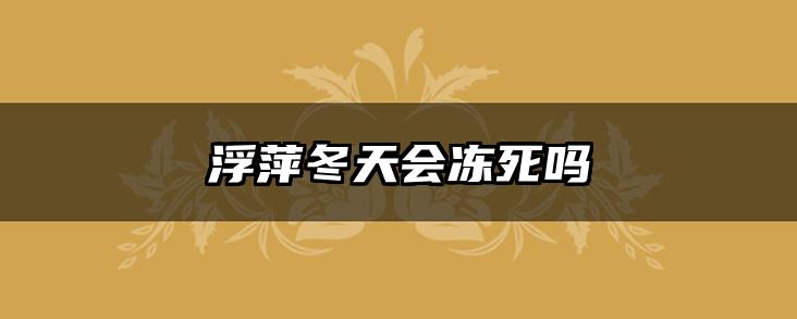 浮萍冬天会冻死吗
