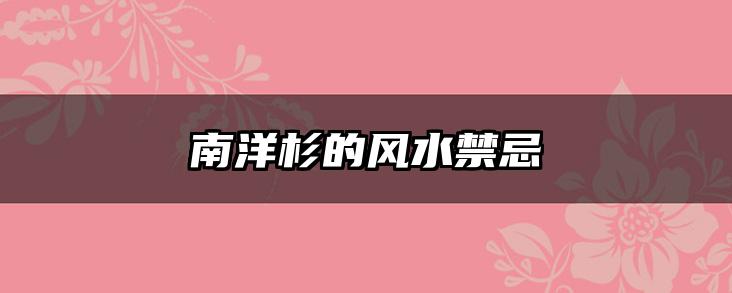 南洋杉的风水禁忌