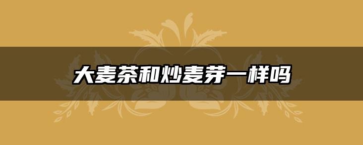 大麦茶和炒麦芽一样吗