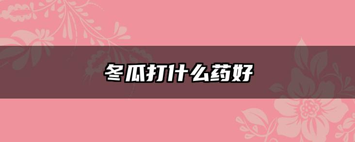 冬瓜打什么药好