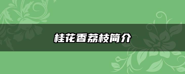 桂花香荔枝简介