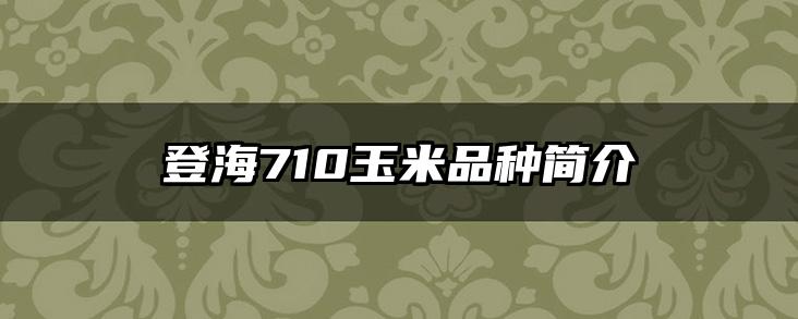 登海710玉米品种简介