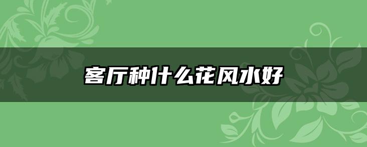 客厅种什么花风水好