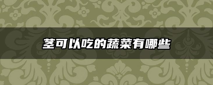 茎可以吃的蔬菜有哪些