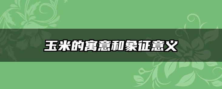 玉米的寓意和象征意义