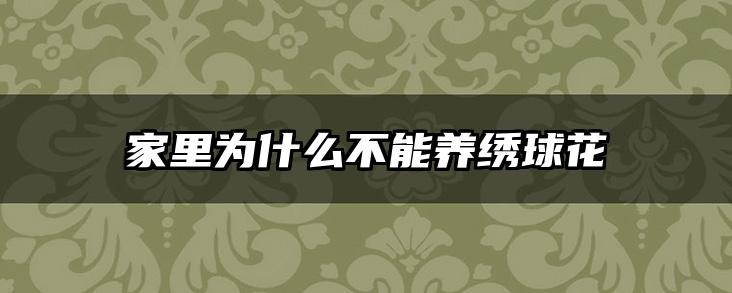 家里为什么不能养绣球花