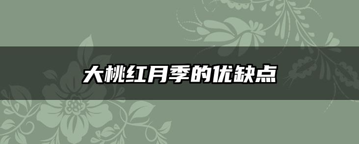 大桃红月季的优缺点
