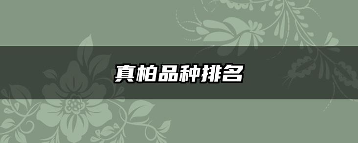 真柏品种排名