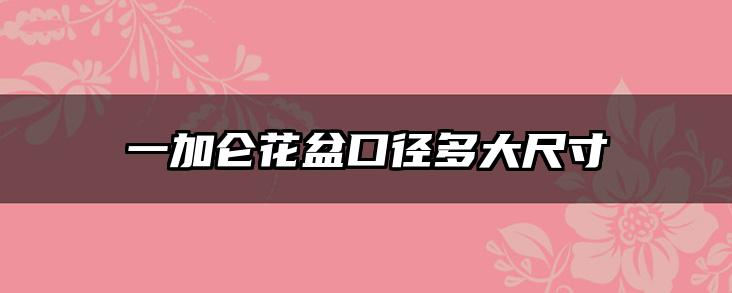 一加仑花盆口径多大尺寸