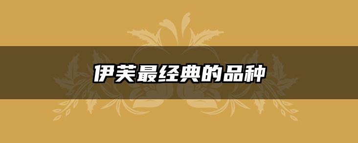 伊芙最经典的品种