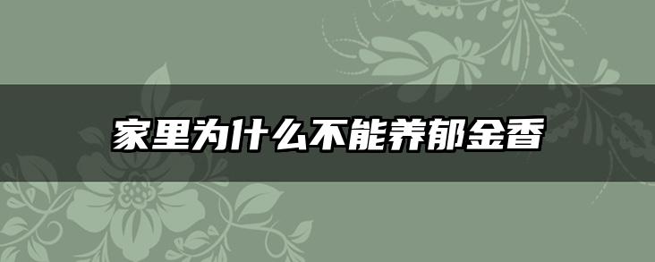 家里为什么不能养郁金香